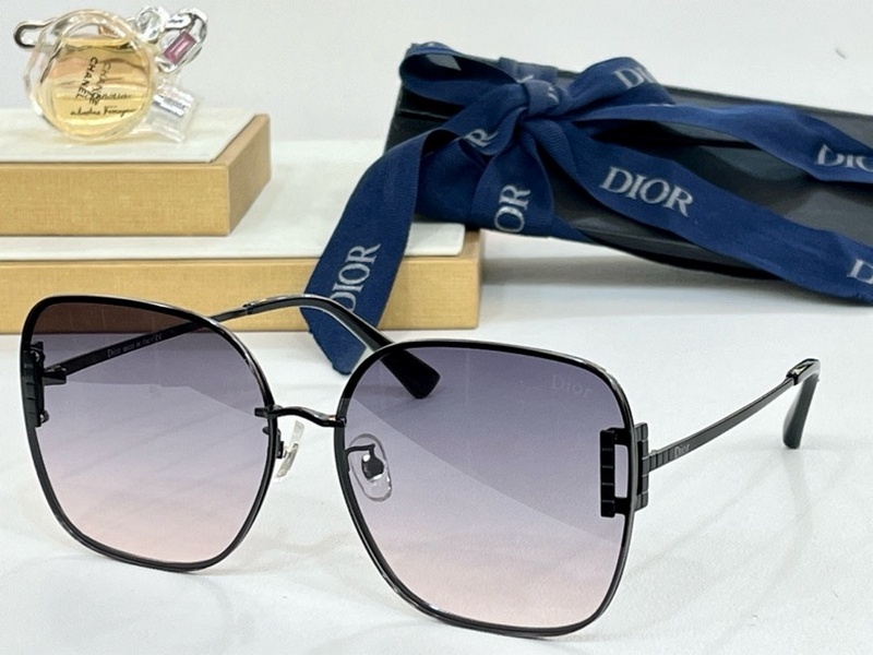 DIOR Sunglasses 101